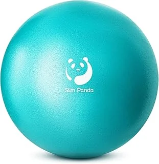 Slim Panda Ballon Pilates Petite,23 cm Anti-Slip Ballon de Gymnastique avec Paille de Gonflage,Soft Yoga Ball Équilibre pour Seniors Thérapie,Fitness,Entraînement à l'équilibre