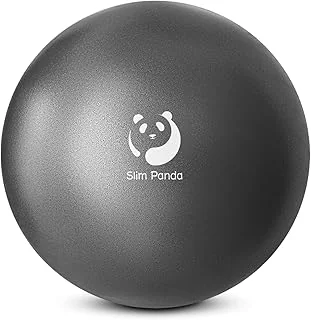 Slim Panda Ballon Pilates Petite,23 cm Anti-Slip Ballon de Gymnastique avec Paille de Gonflage,Soft Yoga Ball Équilibre pour Seniors Thérapie,Fitness,Entraînement à l'équilibre