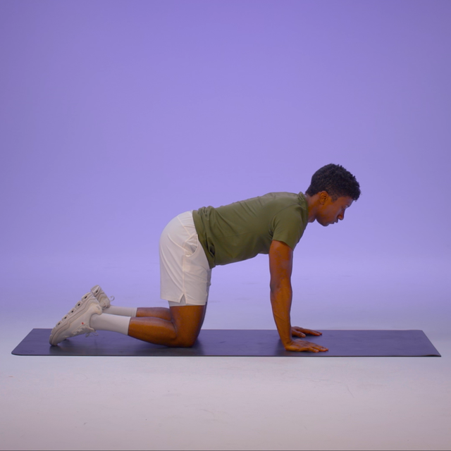 Étirement du chat pour la colonne vertébrale